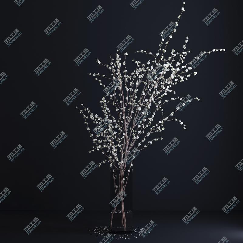 images/goods_img/2021040164/Prunus White Blossom/4.jpg